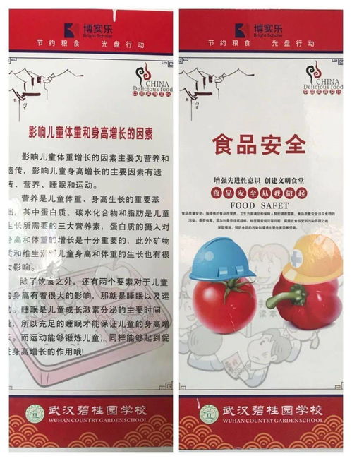 第二周營(yíng)養(yǎng)食譜指南 打造均衡膳食，守護(hù)食品安全與營(yíng)養(yǎng)